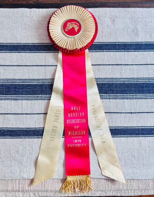 Vintage 1975 Horse Show Ribbon - Half Arabian Association of Michigan