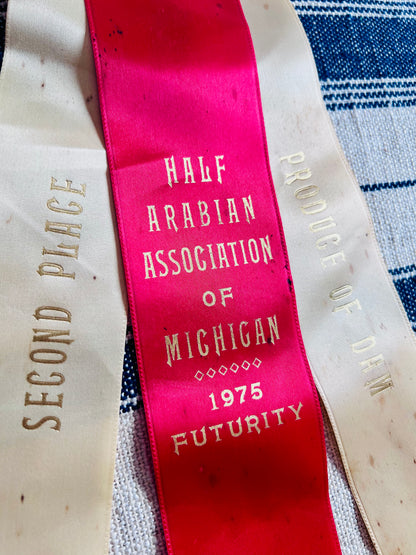 Vintage 1975 Horse Show Ribbon - Half Arabian Association of Michigan