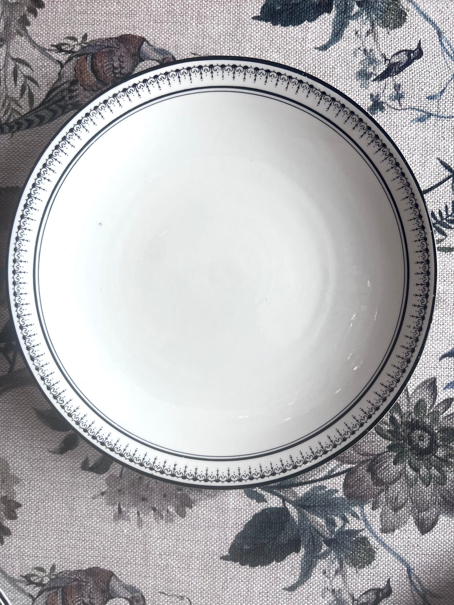 Antique Redfern & Drakeford "Balmoral" Dinner Plate - England