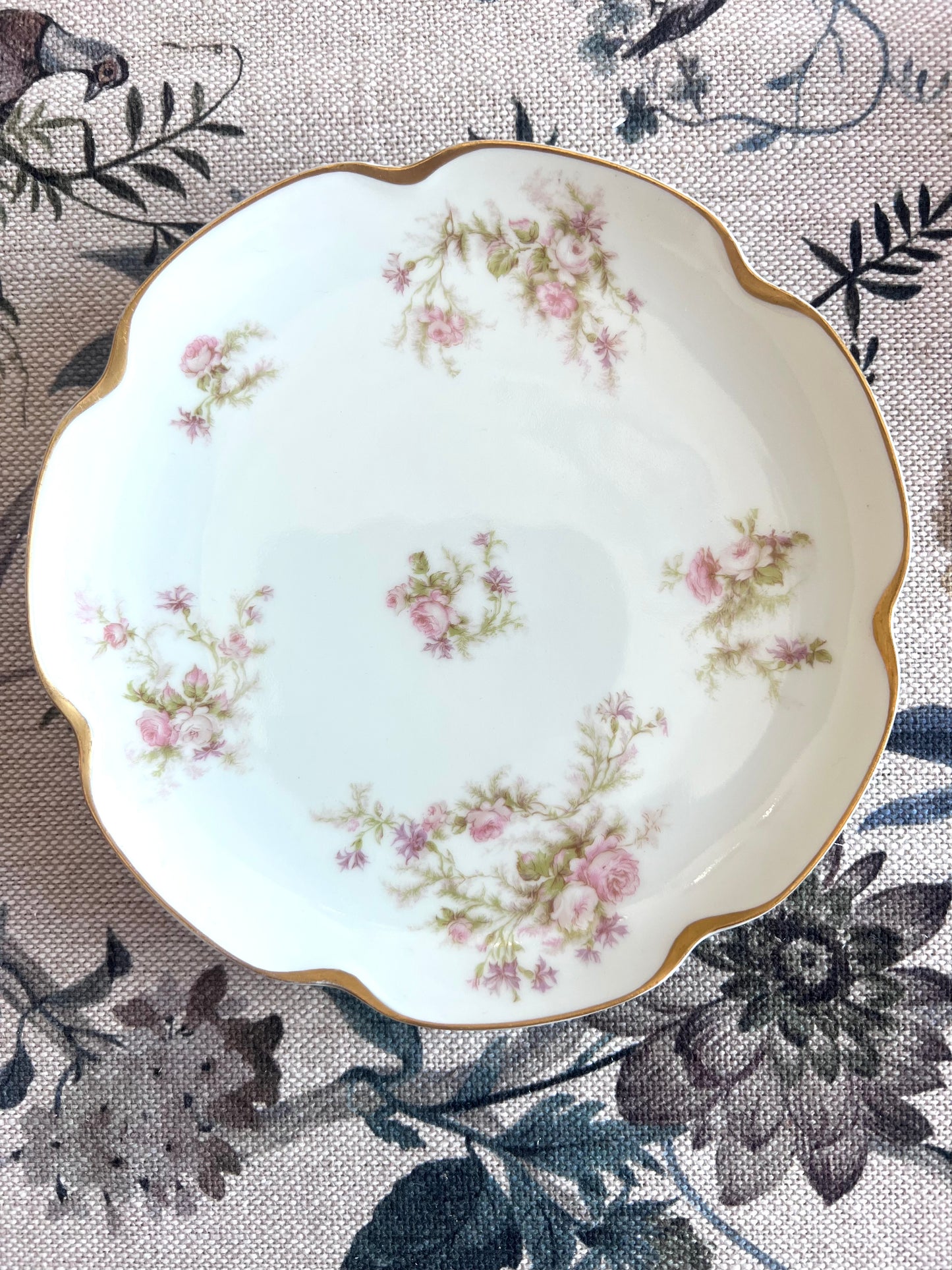 Antique Haviland Limoges Salad Plate - Schleiger 228I, Circa 1894–1931