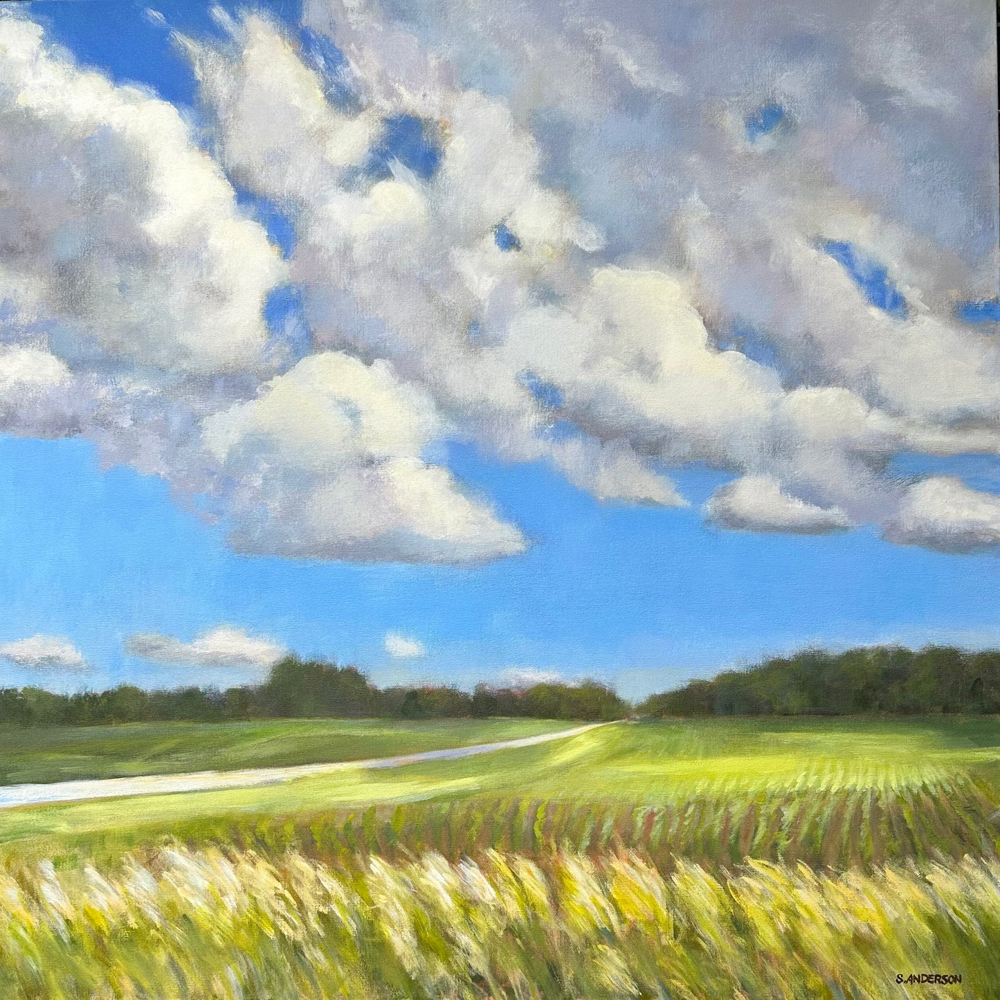 Cloud Shadows - Original Painting by Susan Anderson