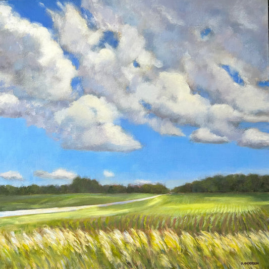 Cloud Shadows - Original Painting by Susan Anderson