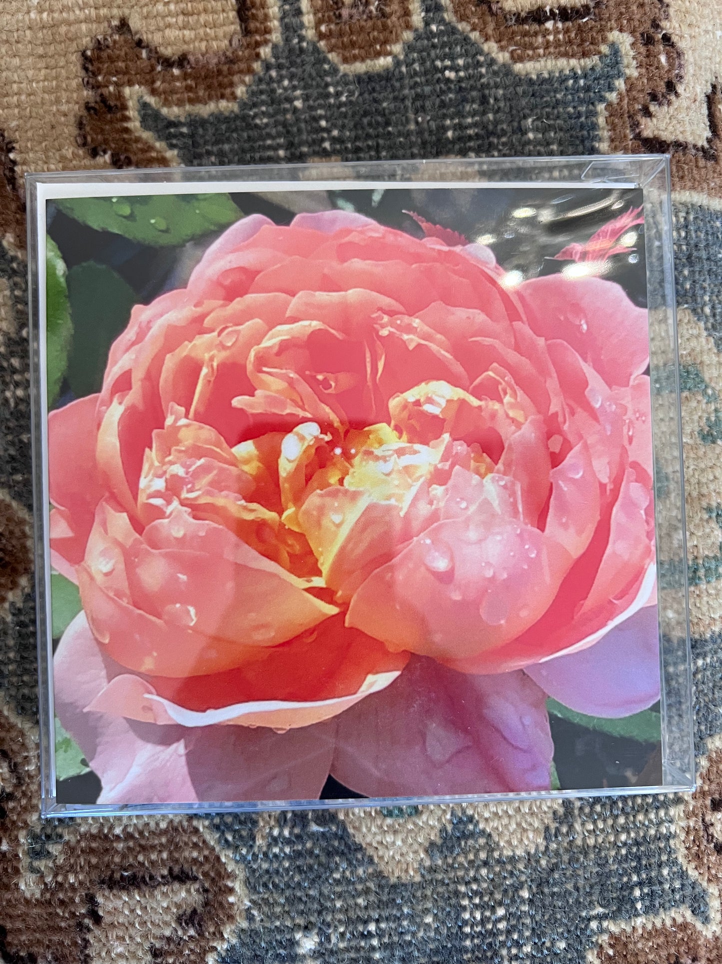 Photography Cards set of 4 by Artist Susan Anderson