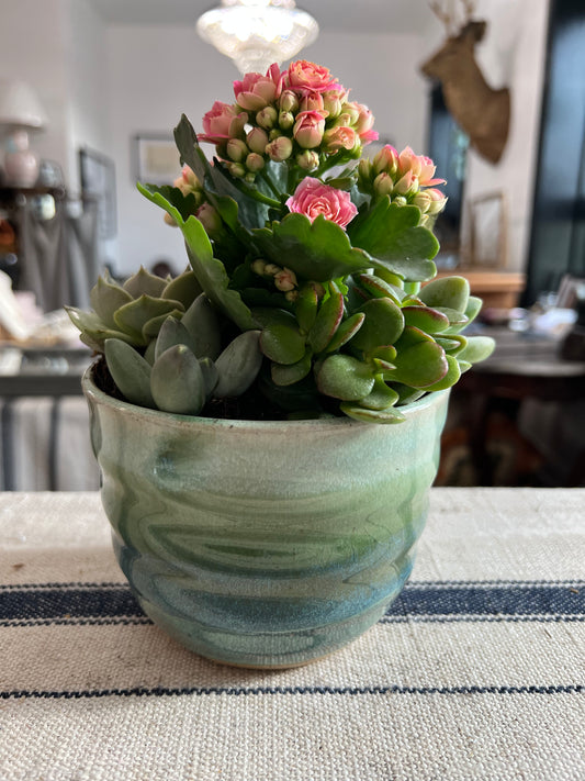Aquamarine Planter with Succulents - Handmade by Ceramic Artist Natalie Zelman