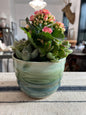 Aquamarine Planter with Succulents - Handmade by Ceramic Artist Natalie Zelman