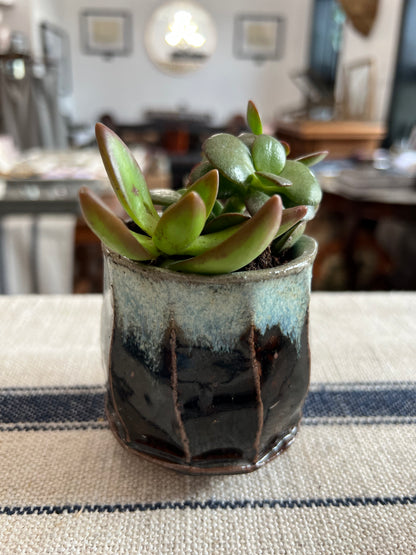 Wild Clay and Glaze Faceted Planter with Succulents by Matt Fishman Pottery