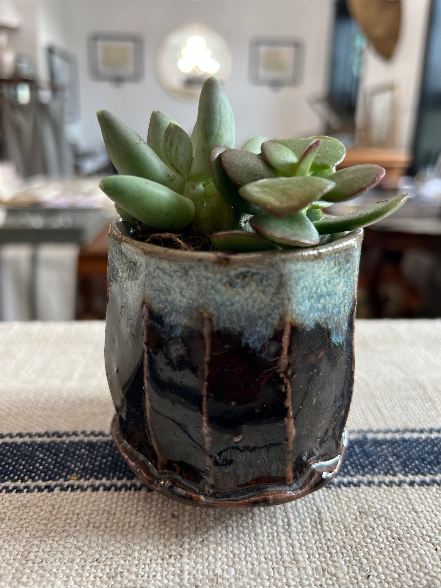 Wild Clay and Glaze Faceted Planter with Succulents by Matt Fishman Pottery