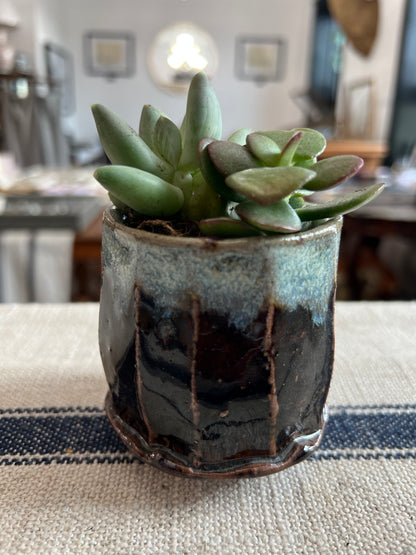 Wild Clay and Glaze Faceted Planter with Succulents by Matt Fishman Pottery