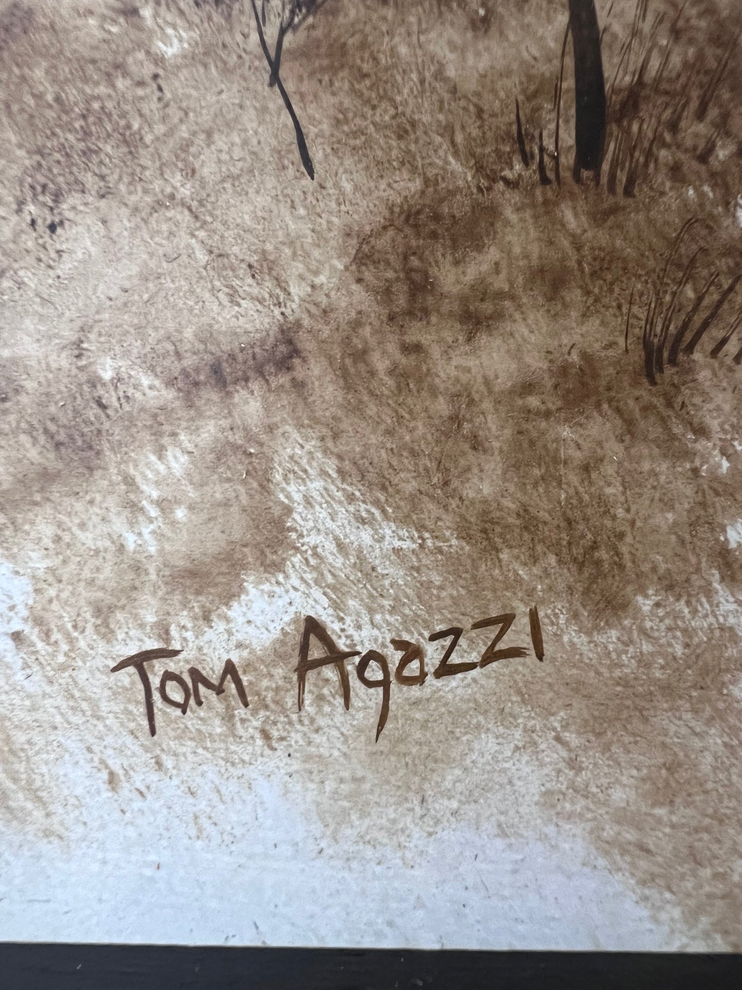 "Clearing" Original Acrylic Painting by Artist Tom Agazzi