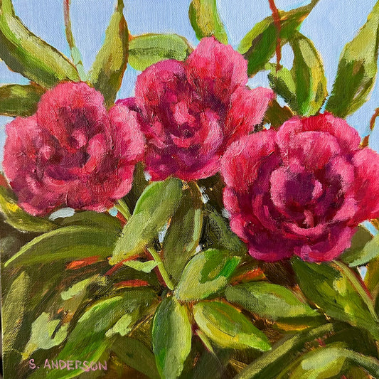 Fuchsia Peonies - Original Painting by Susan Anderson