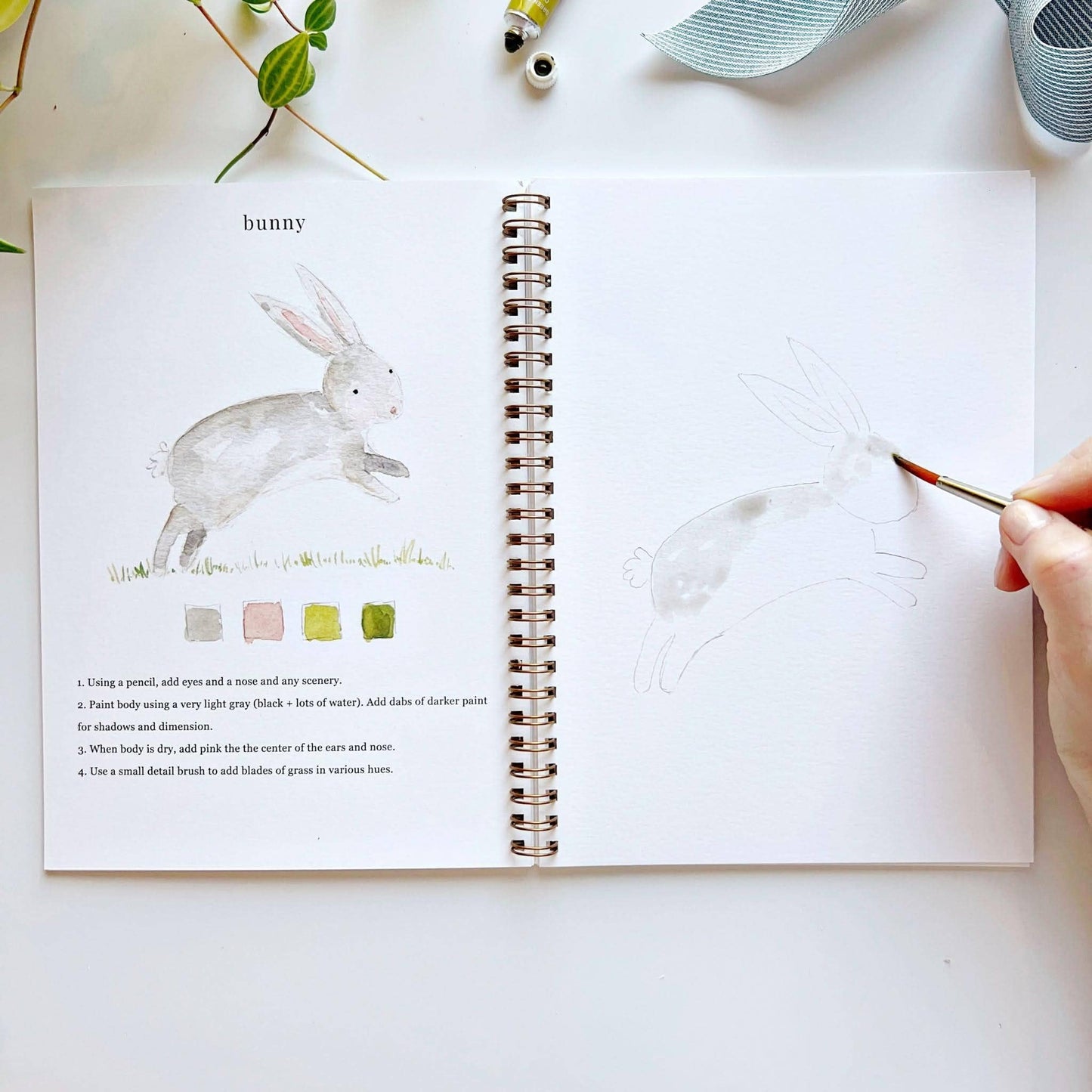 Animals Watercolor Workbook by Watercolor Artist Emily Lex