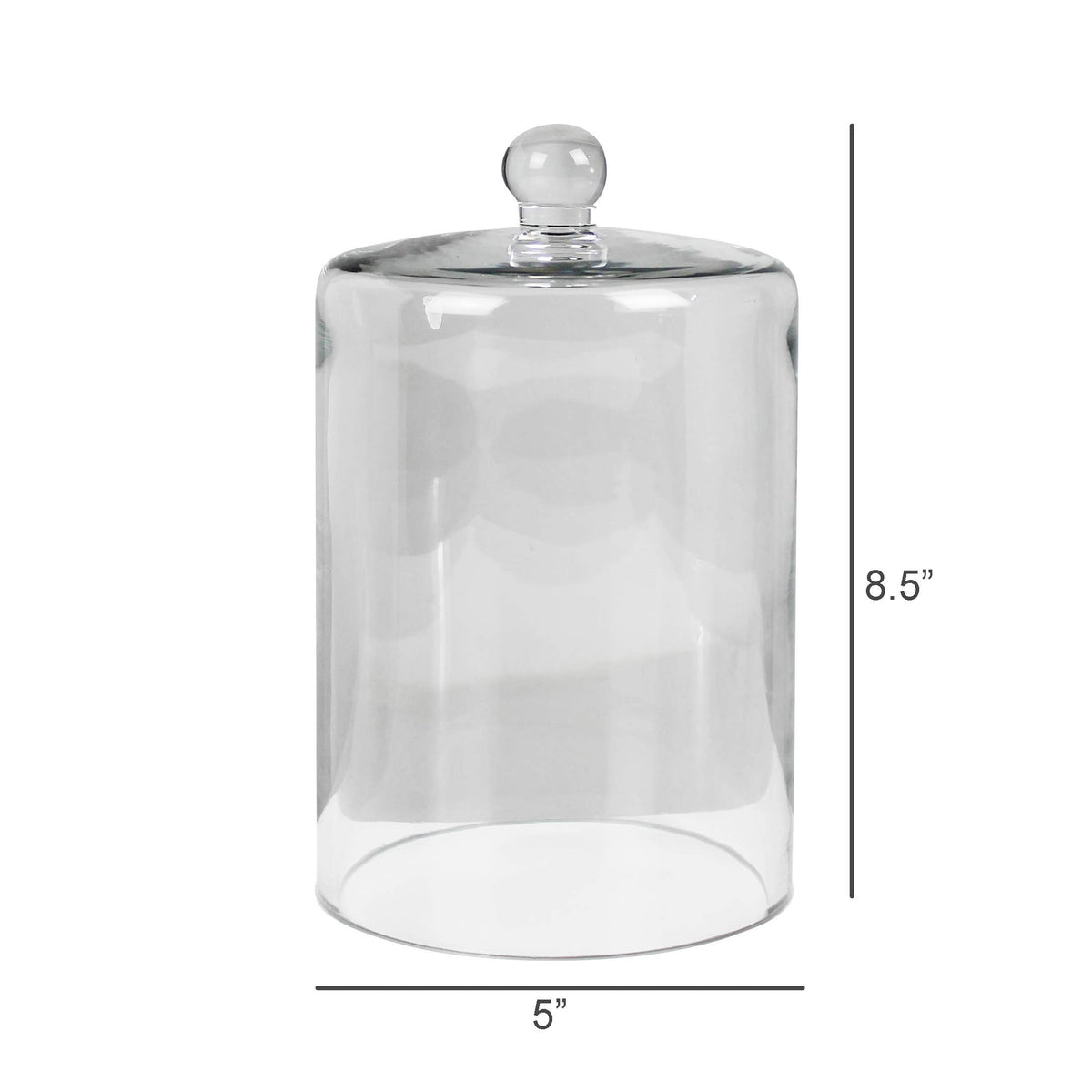 Glass Dome Cloche