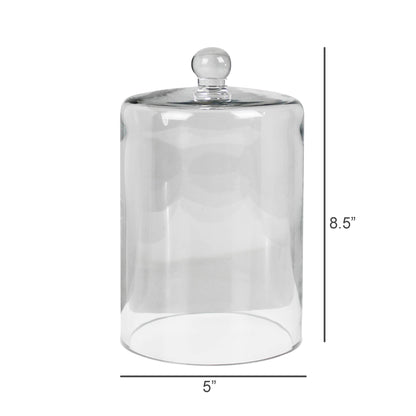 Glass Dome Cloche