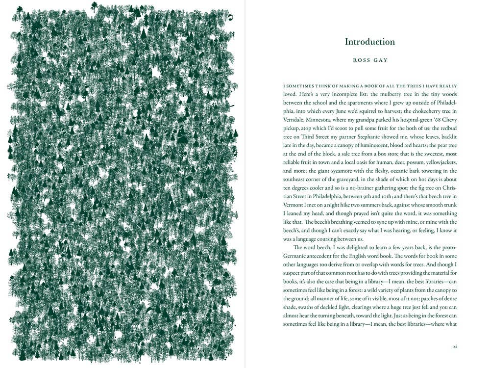 The Language of Trees: A Rewilding of Literature and Landscape by Katie Holten - Paperback