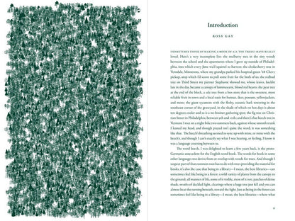 The Language of Trees: A Rewilding of Literature and Landscape by Katie Holten - Paperback