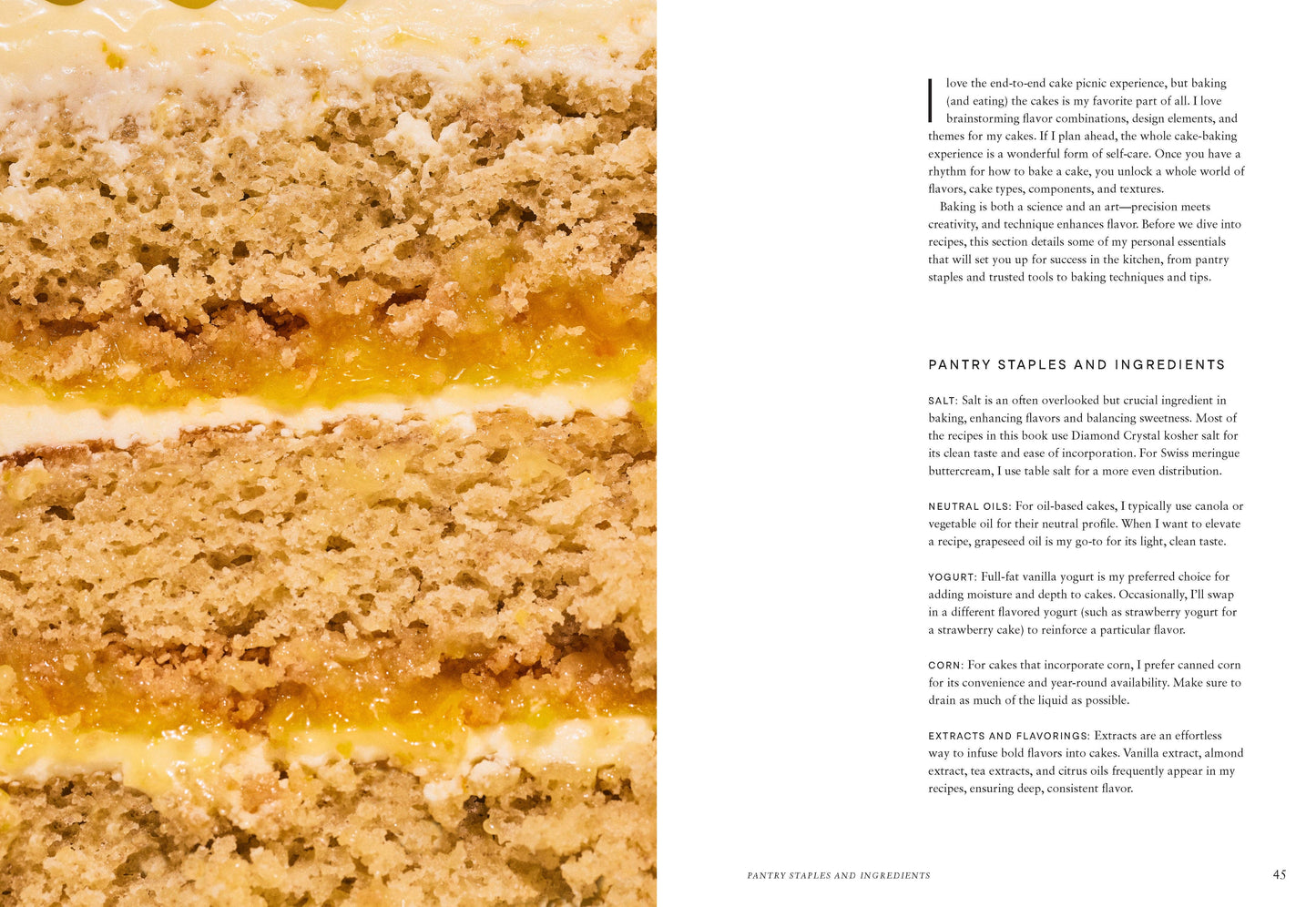 Cake Picnic: Recipes for the Love of Cake & Friends - Hardcover