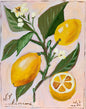 Lemon Branches Greeting Card
