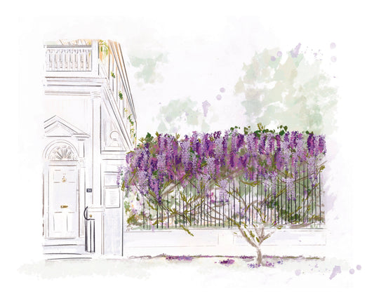 Charleston Wisteria in Spring Framed Art Print