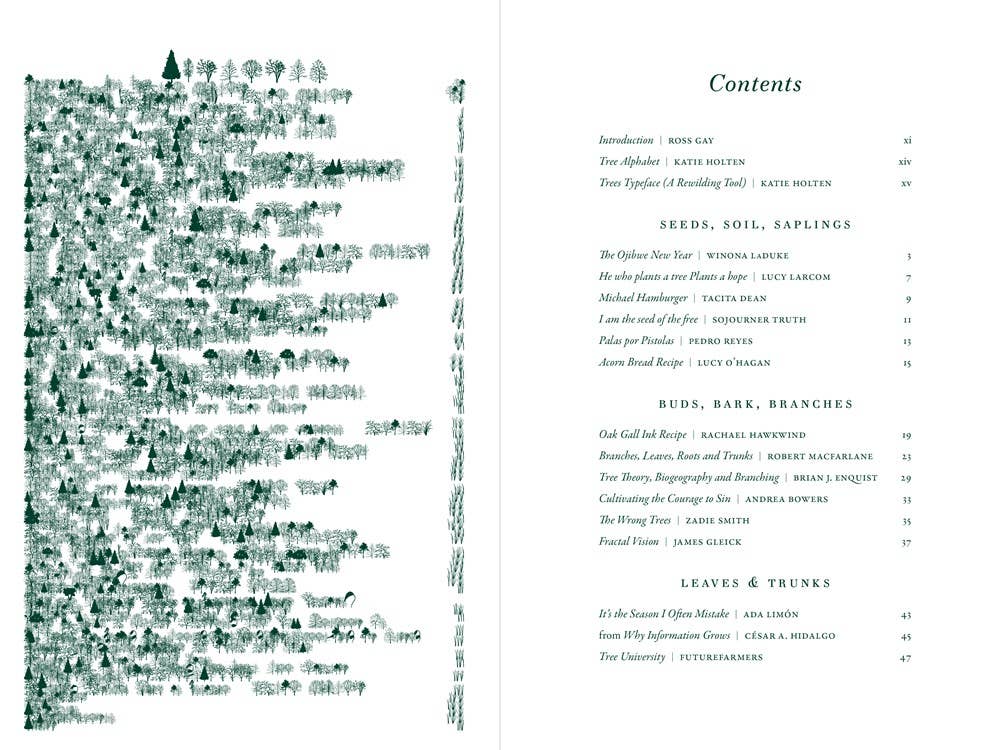 The Language of Trees: A Rewilding of Literature and Landscape by Katie Holten - Paperback