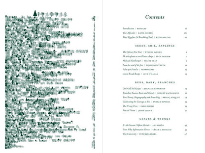 The Language of Trees: A Rewilding of Literature and Landscape by Katie Holten - Paperback