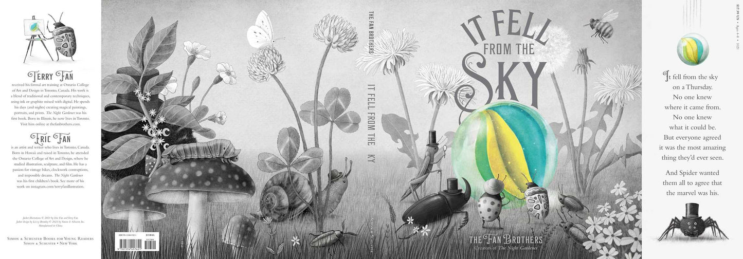 It Fell from the Sky by Terry & Eric Fan - Hardcover