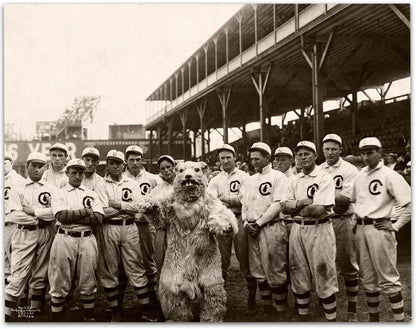 1908 Chicago Cubs and Bear Mascot Framed Matted Photo
