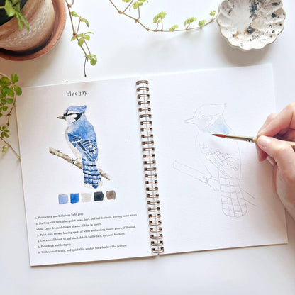 Birds Watercolor Workbook by Watercolor Artist Emily Lex