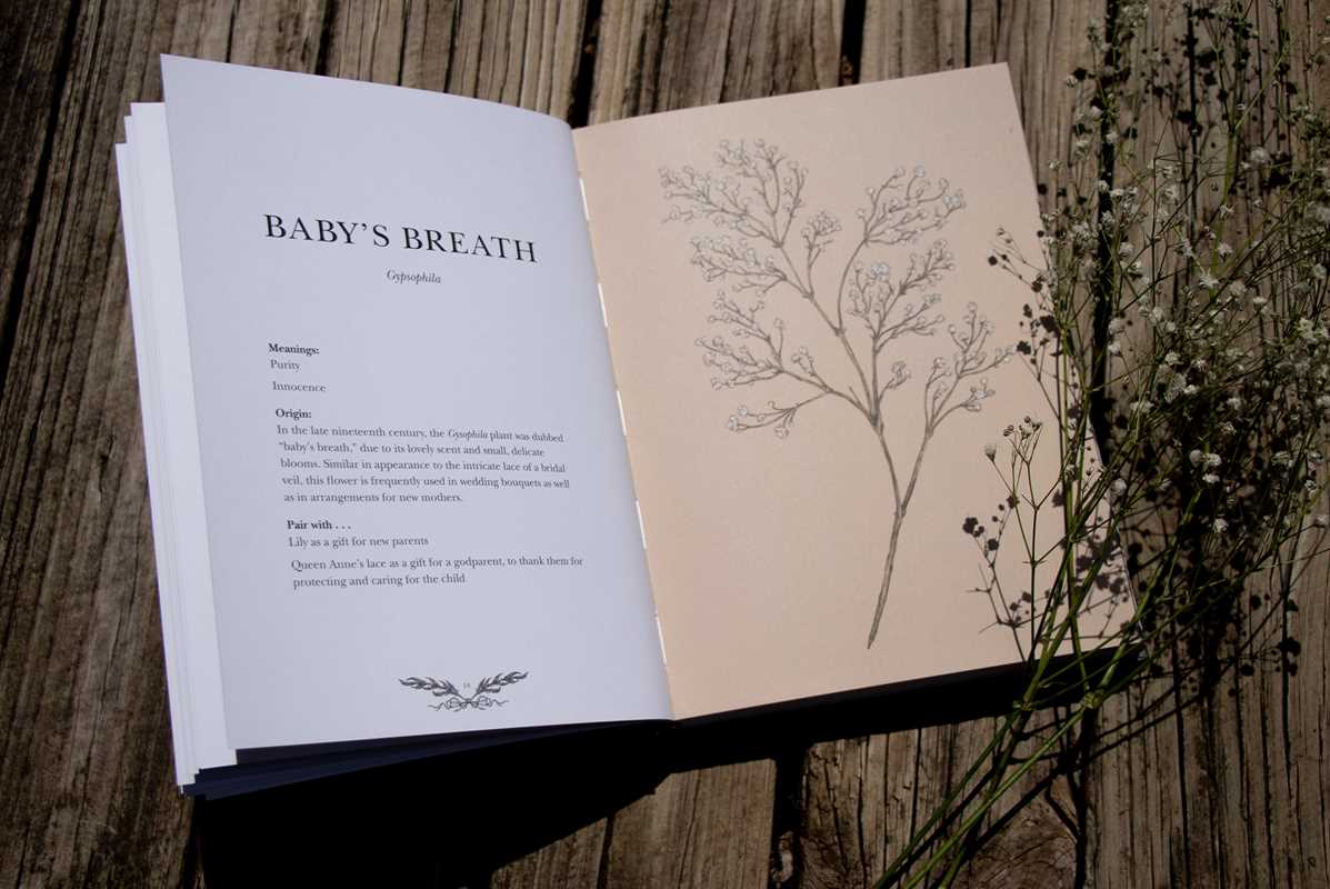 "Floriography: An Illustrated Guide to the Victorian Language of Flowers" by Jessica  Roux - Hardcover