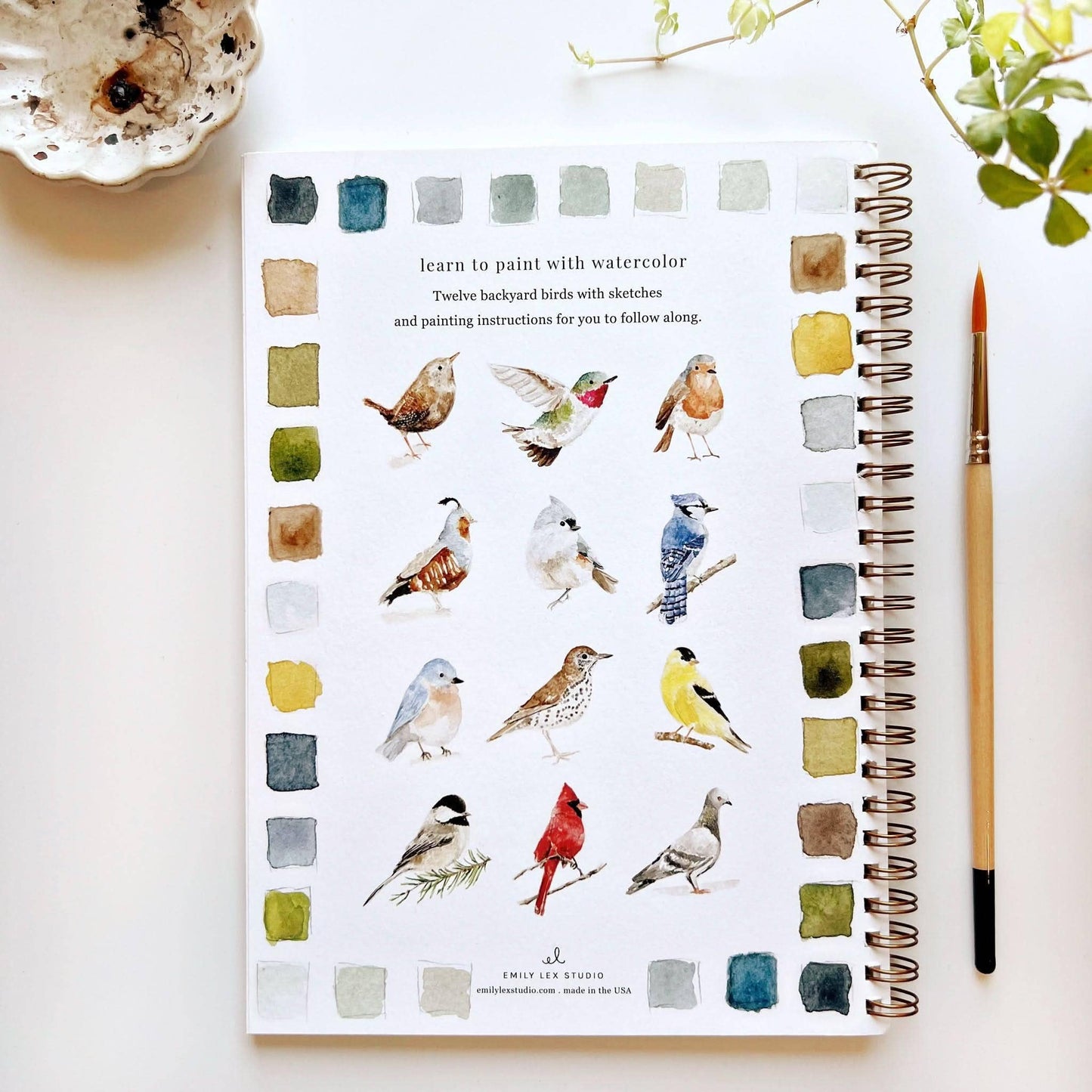 Birds Watercolor Workbook by Watercolor Artist Emily Lex