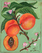 Peaches Greeting Card