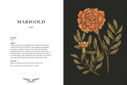 "Floriography: An Illustrated Guide to the Victorian Language of Flowers" by Jessica  Roux - Hardcover