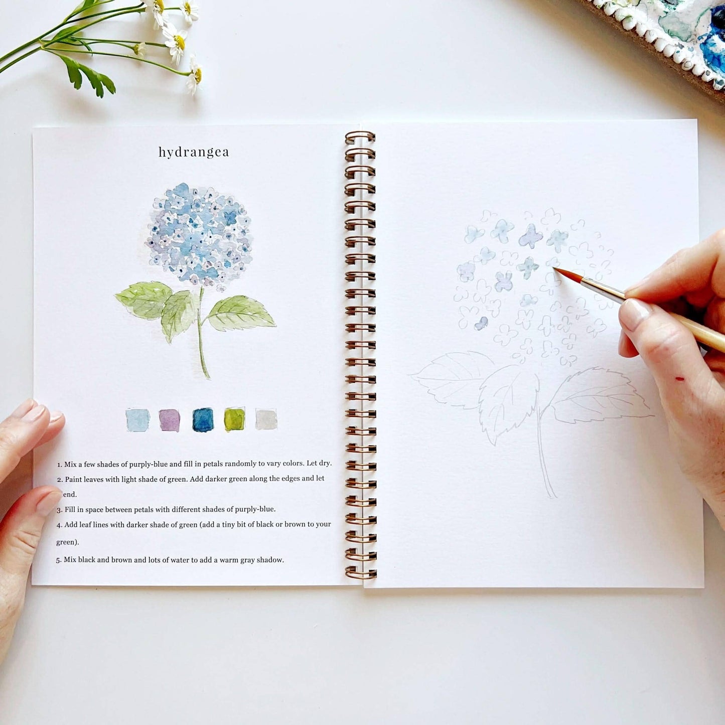 Flowers Watercolor Workbook by Watercolor Artist Emily Lex
