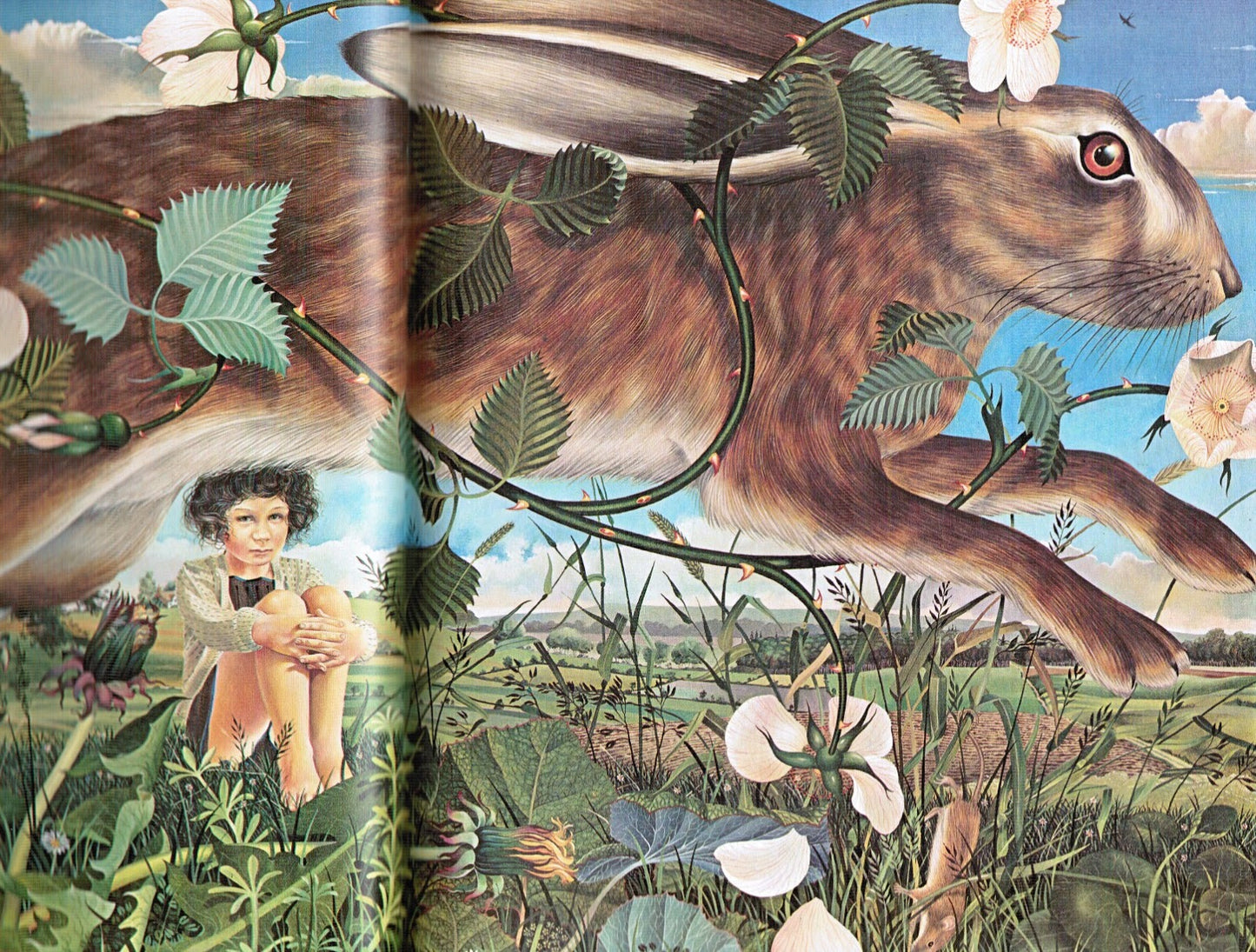 Masquerade by Kit Williams - Vintage Hardcover Book Editions