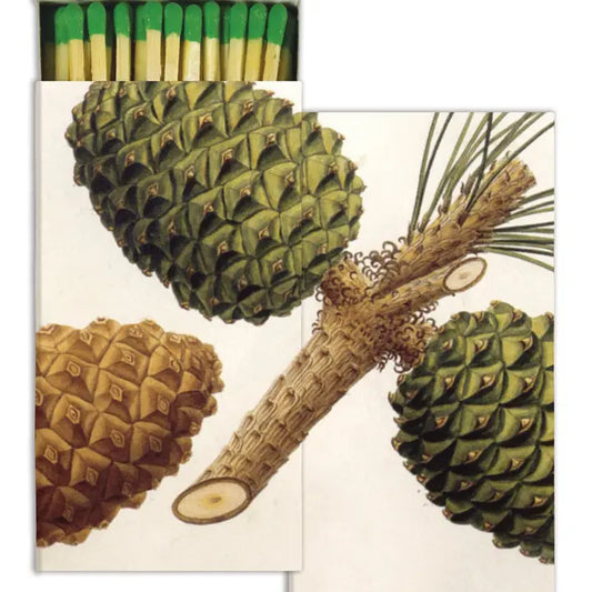 Pinecones Matches