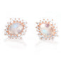 Rainbow Moonstone 14kt Rose Gold Vermeil Stud Earrings