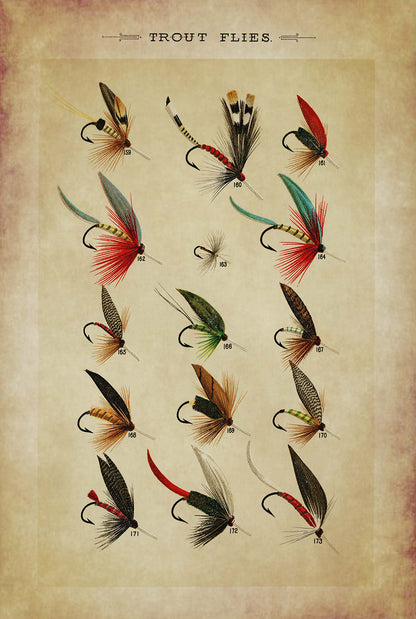 Trout Flies Reproduction Archival-Quality Ink Print Framed Behind Glass