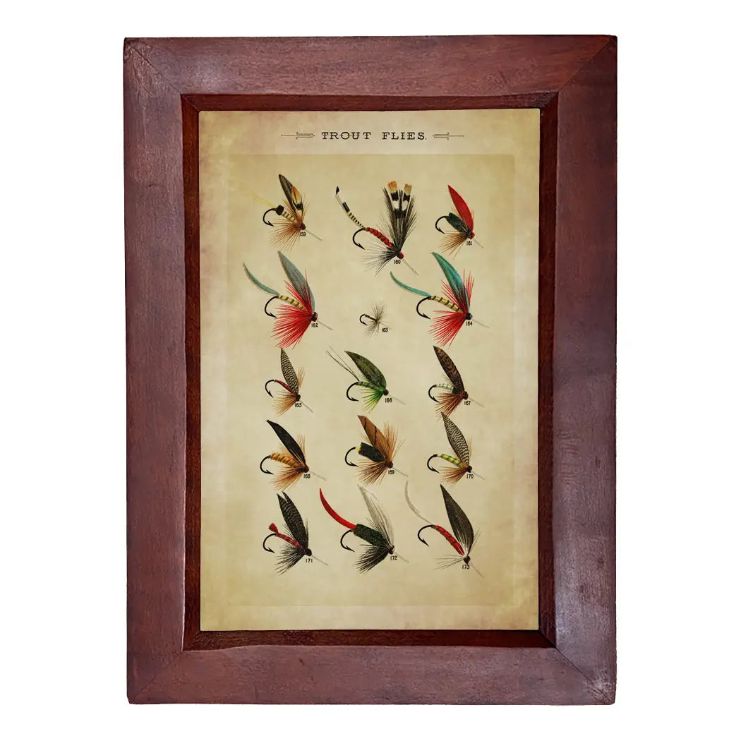 "Trout Flies" Framed Print